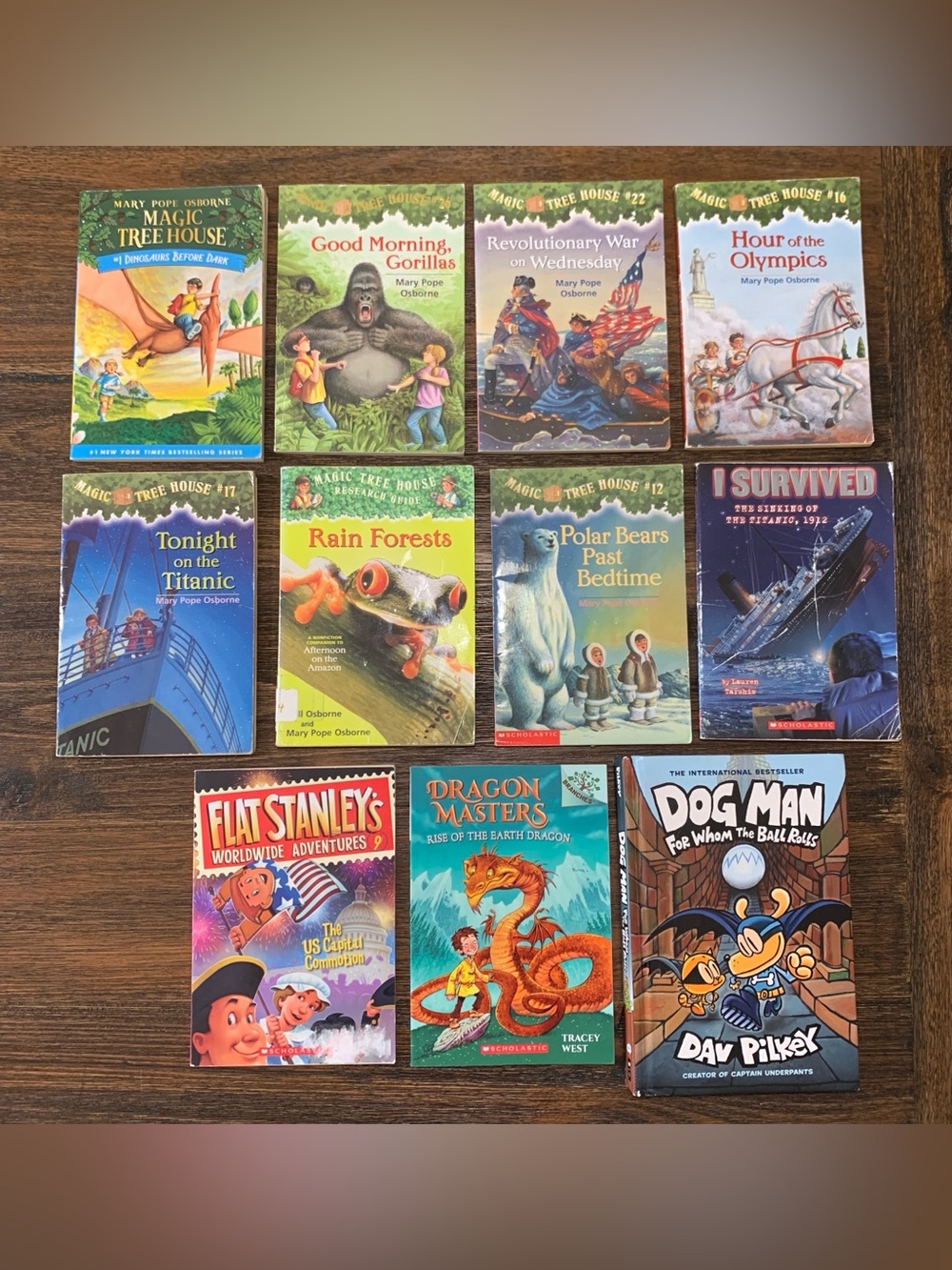 Lot of 11 Kids Chapter Books – Magic Tree House, Dog Man, I Survived, Dragons